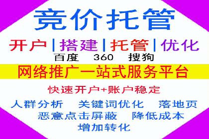 SEM主管实战技巧：案例分享与解读